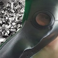 prolificplague